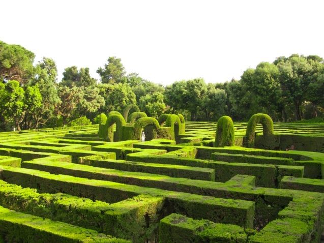 English green labyrinth hedge maze