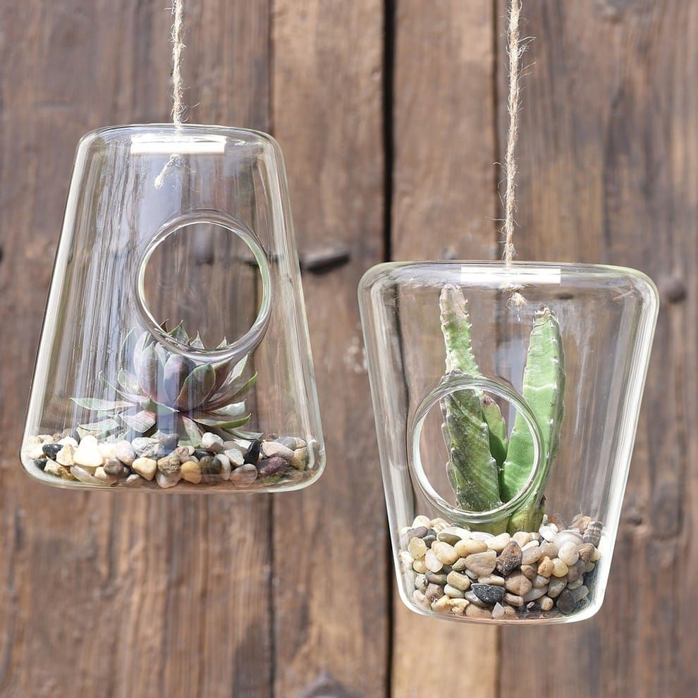 Hanging transparent glass with holes and stones inside with succulent planted 