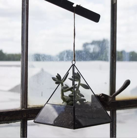 Indoor hanging triangular florarium with succulent planted on a soil inside