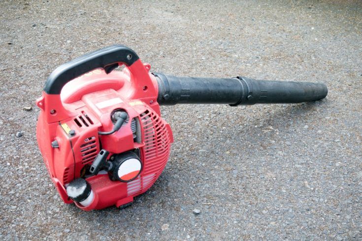 Leaf Blower VS Rake: The Pros and Cons to Both