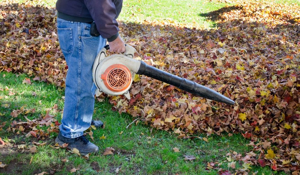 Leaf Blower VS Rake: The Pros and Cons to Both