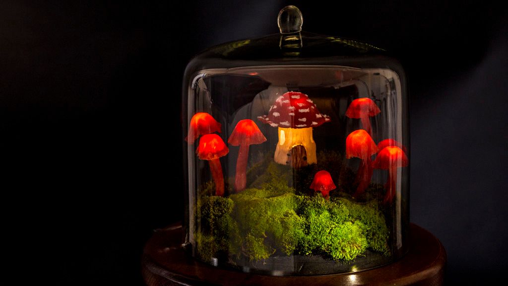 Glowing mushrooms on a grass inside the transparent glass terrarium