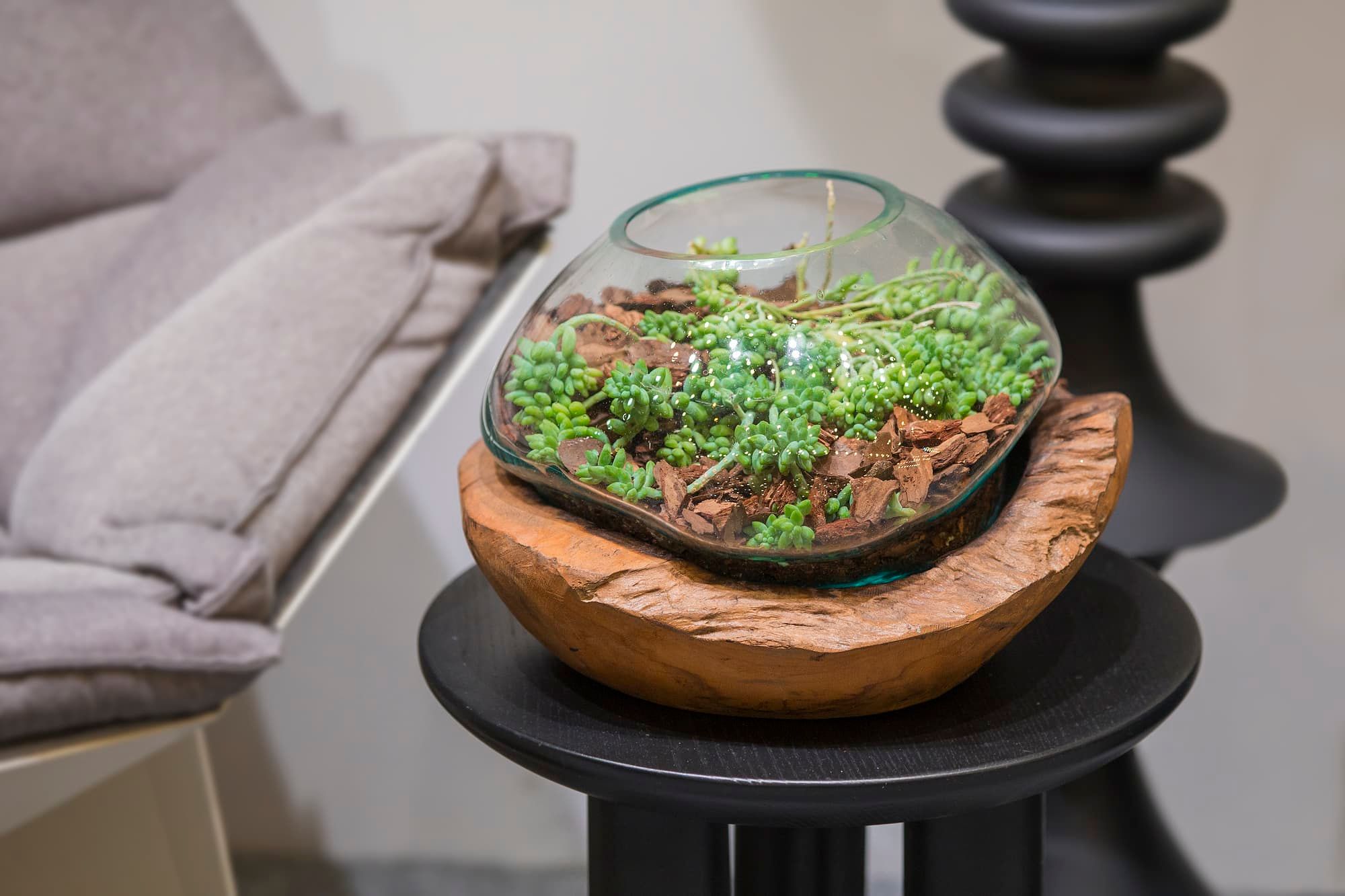 Beautiful glass florarium with succulents and with wooden decor in the interior.