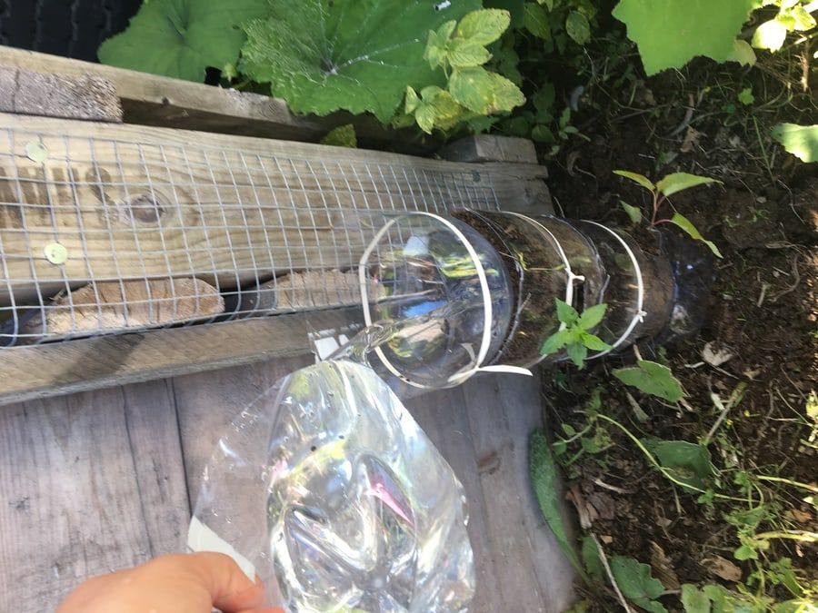 Water poured on the top plastic bottle,this serve as a water container for the tower garden.