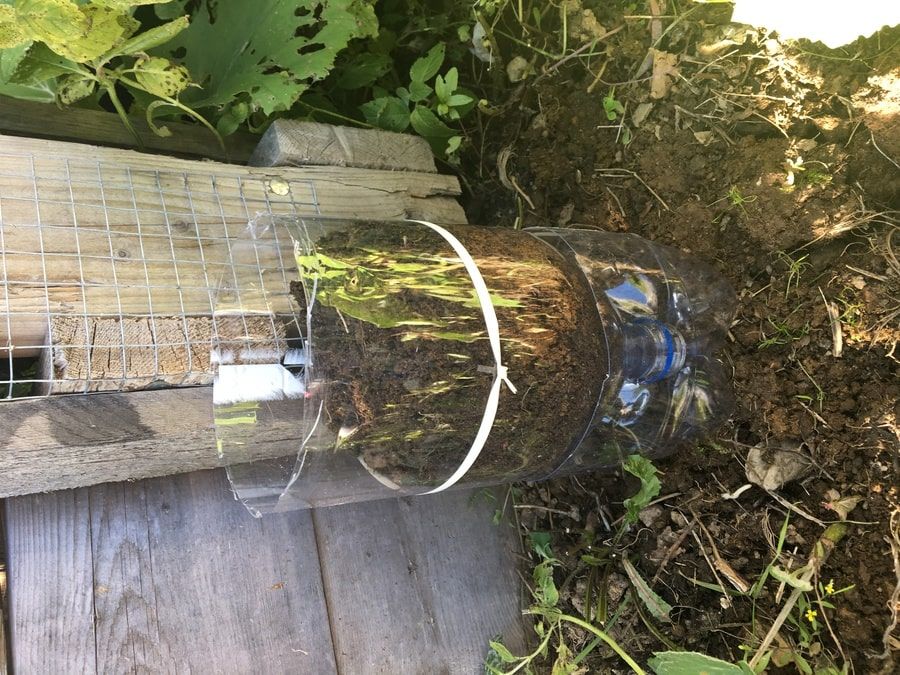 a wire tied on the base of the tower garden bottle,and attach to a fence.