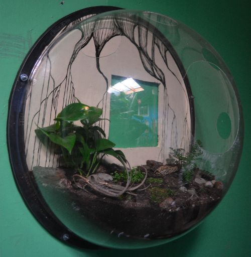 Spherical transparent glass florarium attached to wall with plants planted on soil inside it