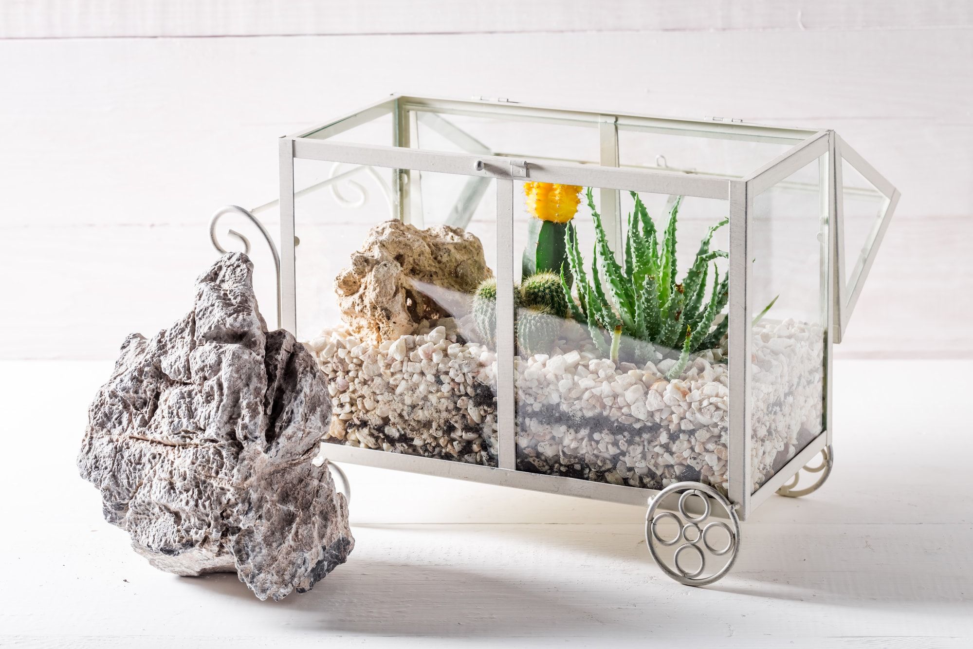 Small terrarium with cactus and piece of desert inside a rectangular transparent glass with wheel