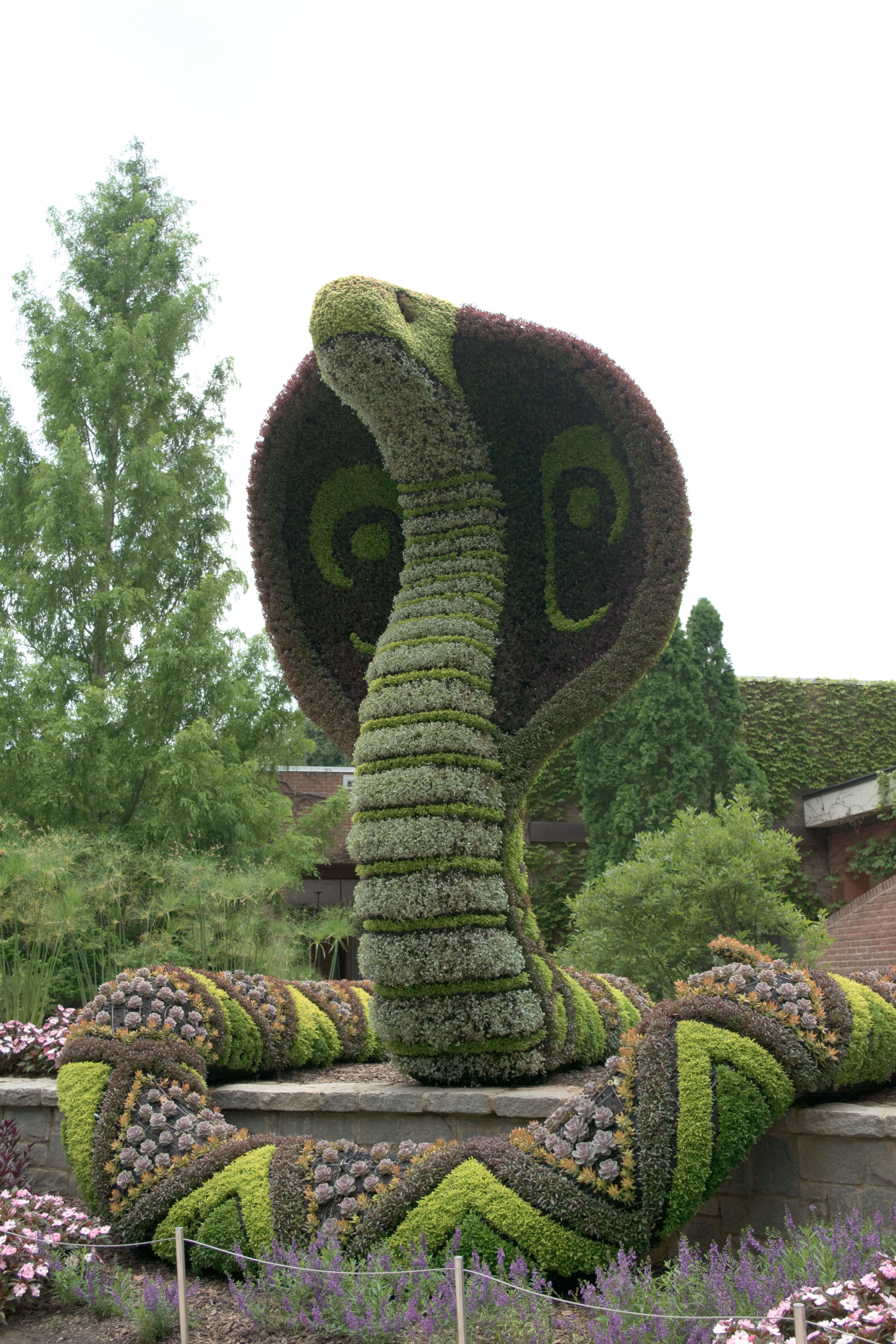 snake art shrub