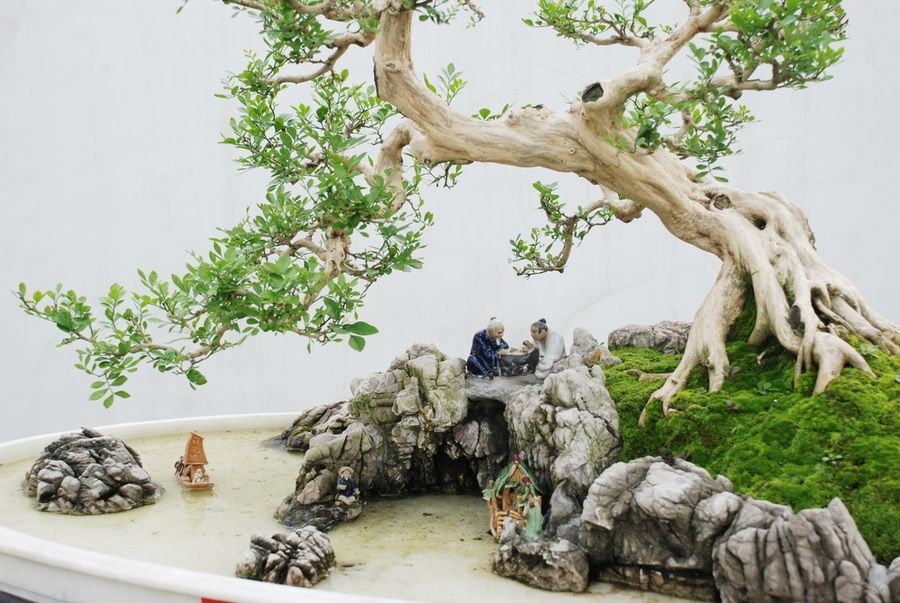 A miniature of pond decorated with ceramic man on the side of a leaning bonsai planted on a rock.