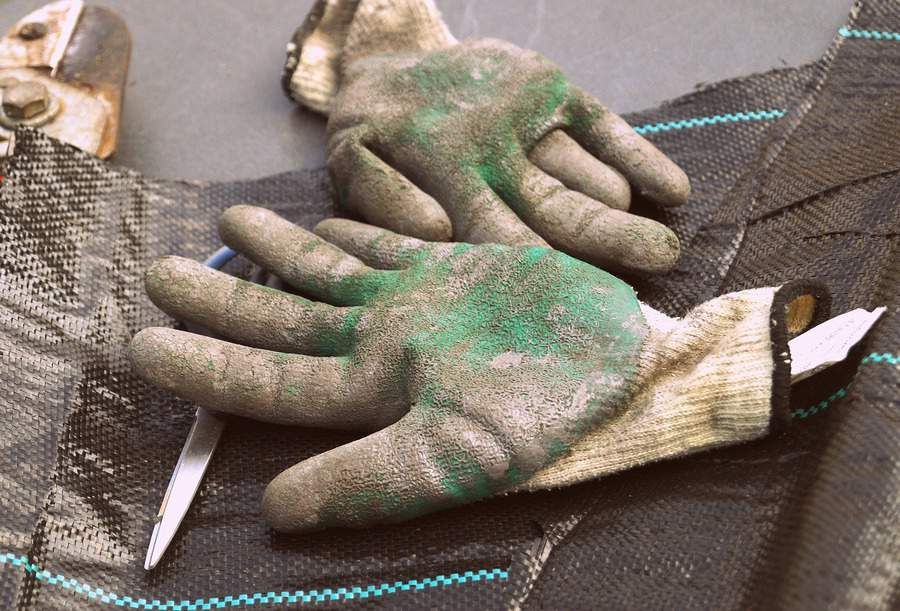 Dirty gardening gloves laid down with scissor beneath it