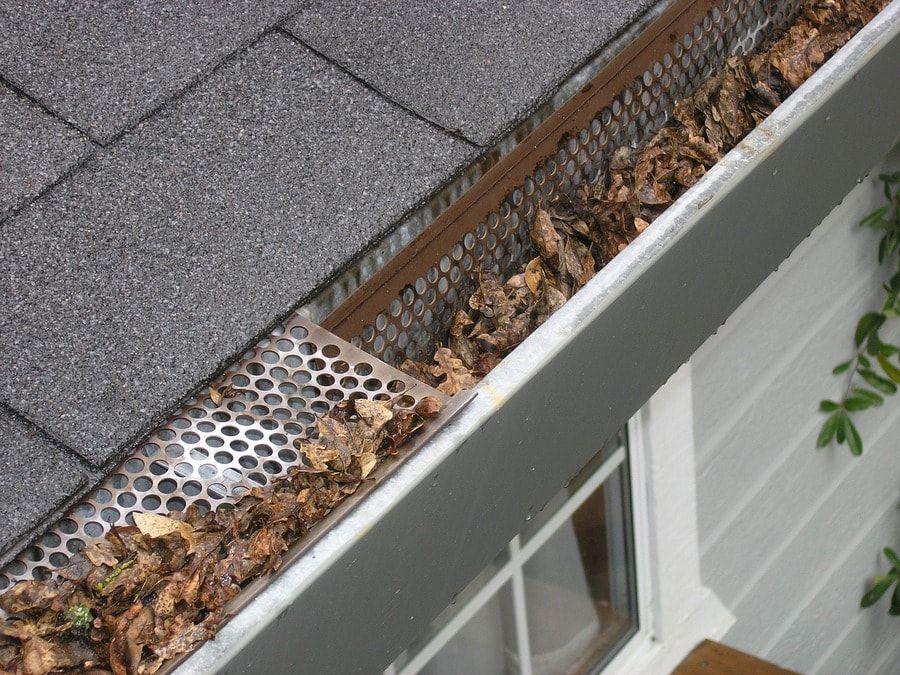 Gutter guard with a lot of dried leaves on it
