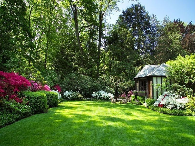 a nice green carpeted lawn