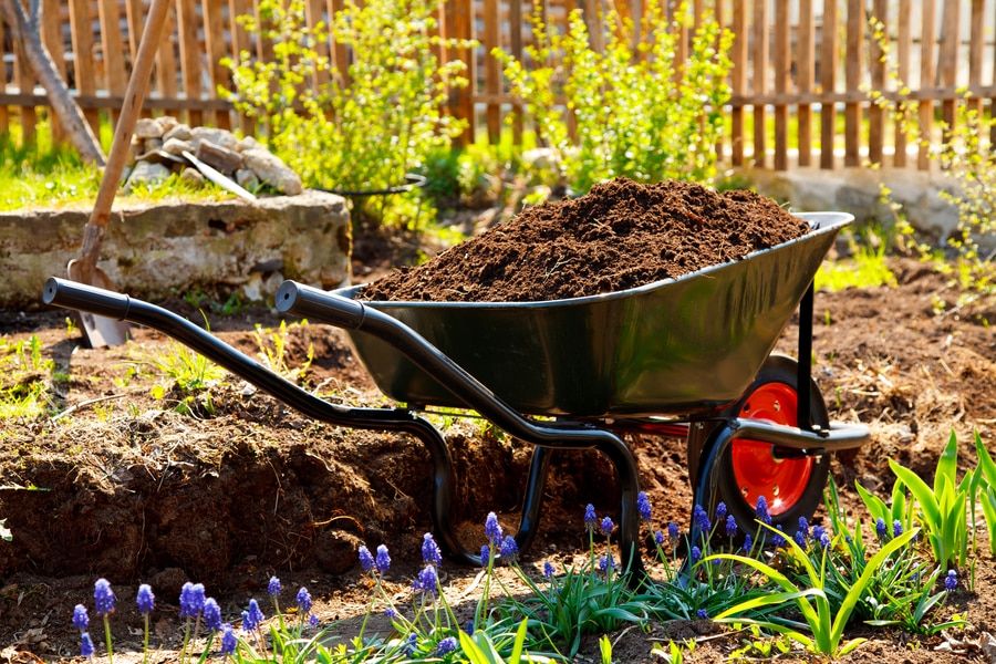 Wheelbarrow full of soil in a garden