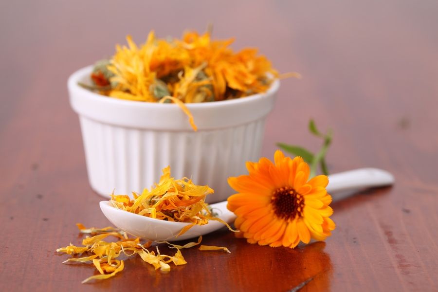 Close-up of dried pot marigolds. Shallow dof