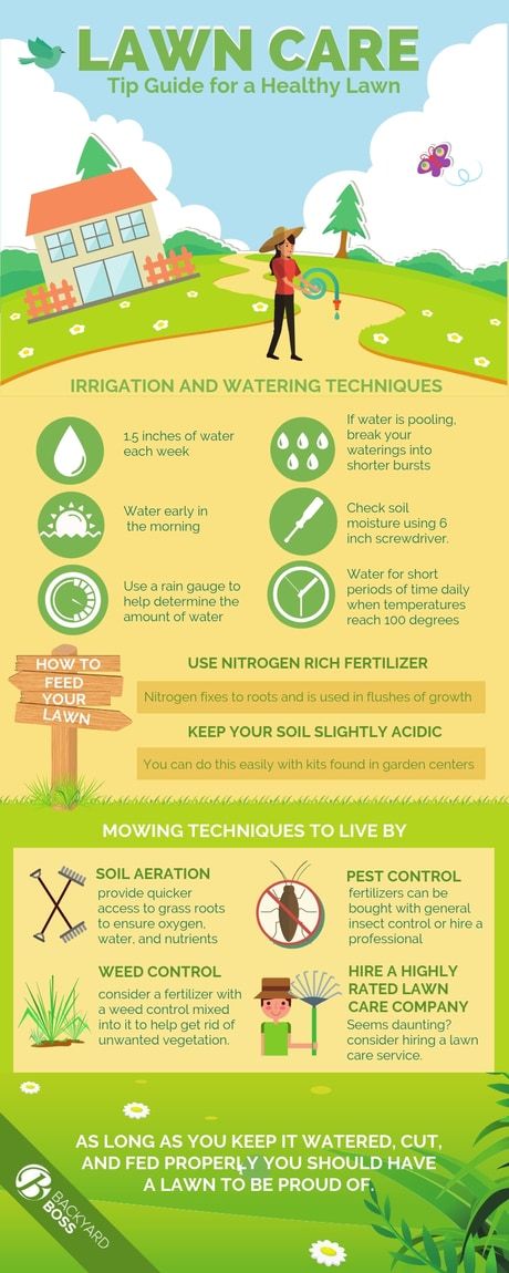Lawn Care Tip Guide for a Healthy Lawn - Info