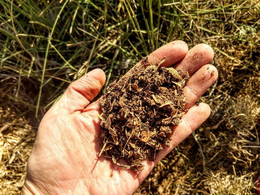 a close up shot of the hand holding compost materials