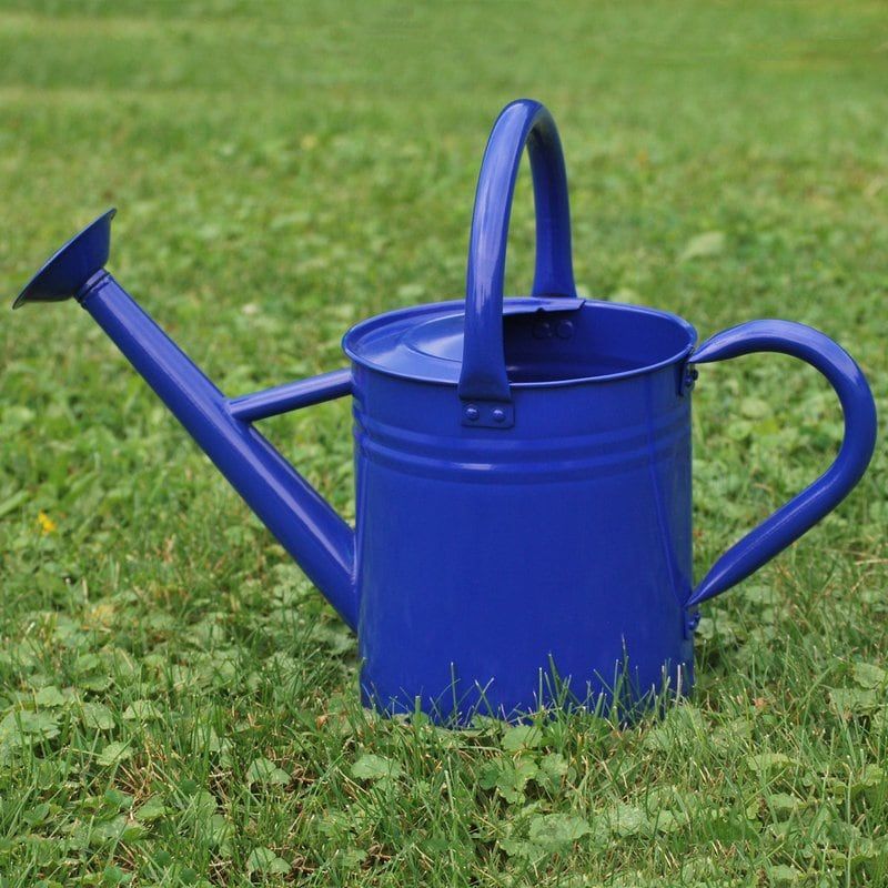 Gardener's Select 1.85-Gallon Watering Can