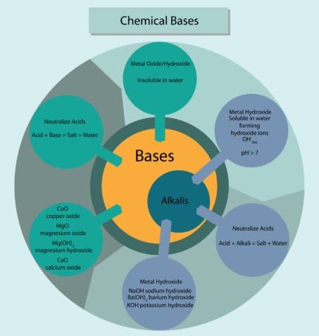 Chemical bases and alkalis summarisied in diagram form.