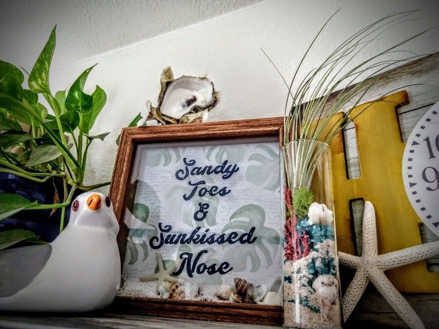 A beautiful frame in between a little figurine bird and flower vase with air plants planted inside.