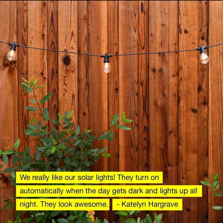string lights on Wooden wall with green plants below and testimony qoute in the bottom