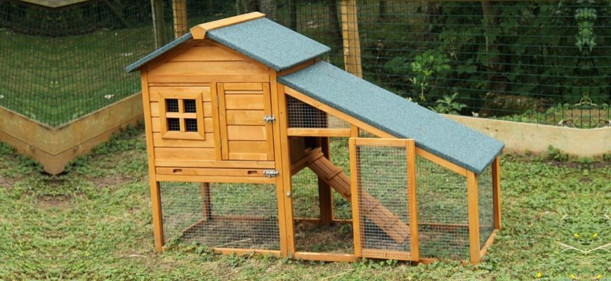 chicken coop at the backyard