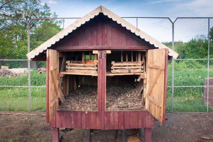 Exterior of handmade chiken's coop with nests