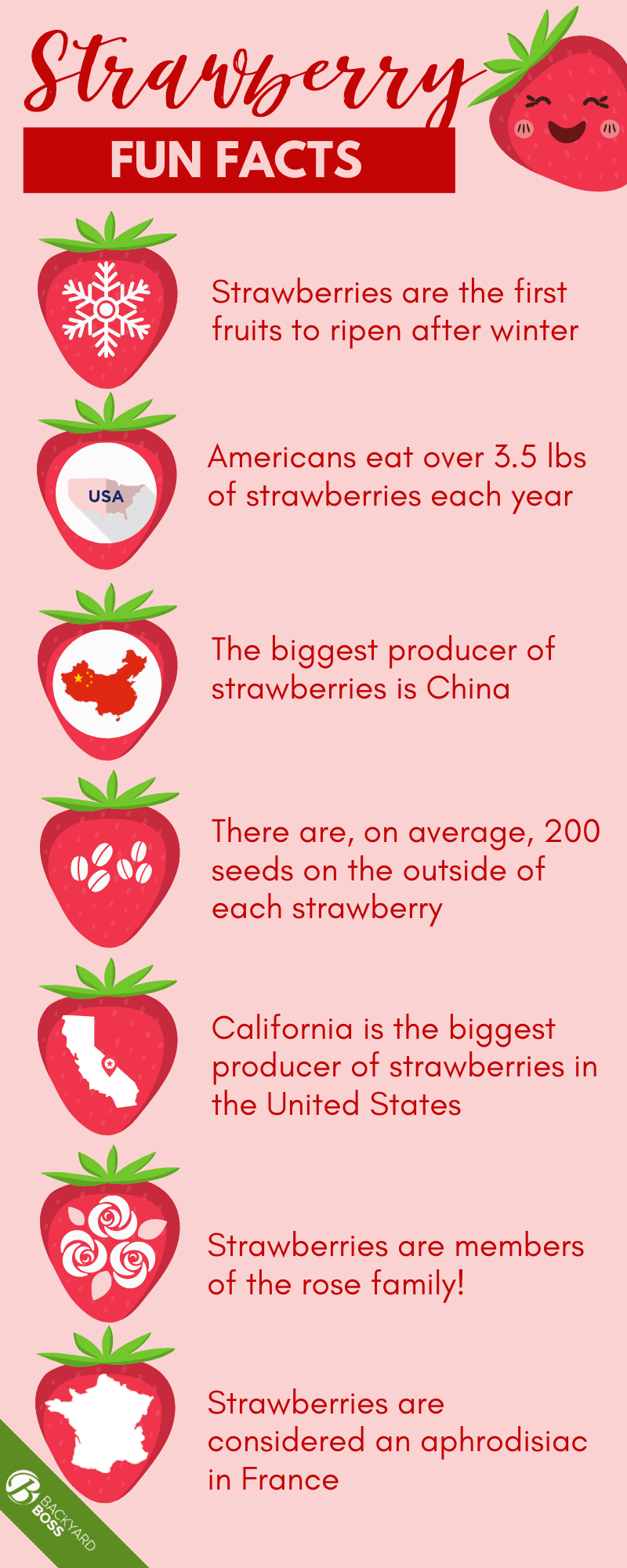 Everything You Need to Know About Strawberries - Infographic