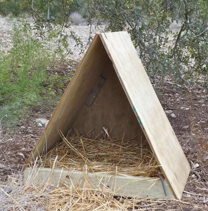 65 Amazing Chicken Coop Nesting Box Ideas