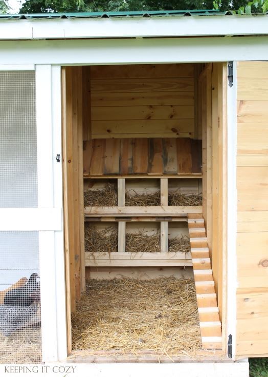 65 Amazing Chicken Coop Nesting Box Ideas