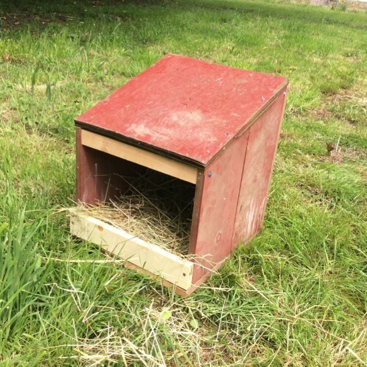 65 Amazing Chicken Coop Nesting Box Ideas