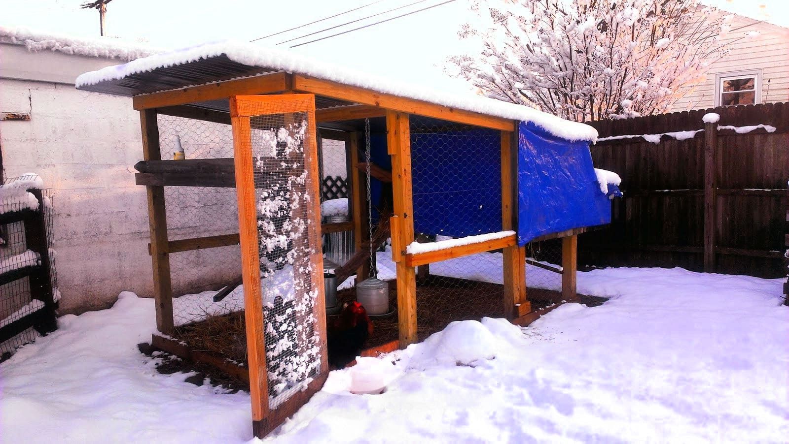 Chicken coop at the backyard in winter snow season