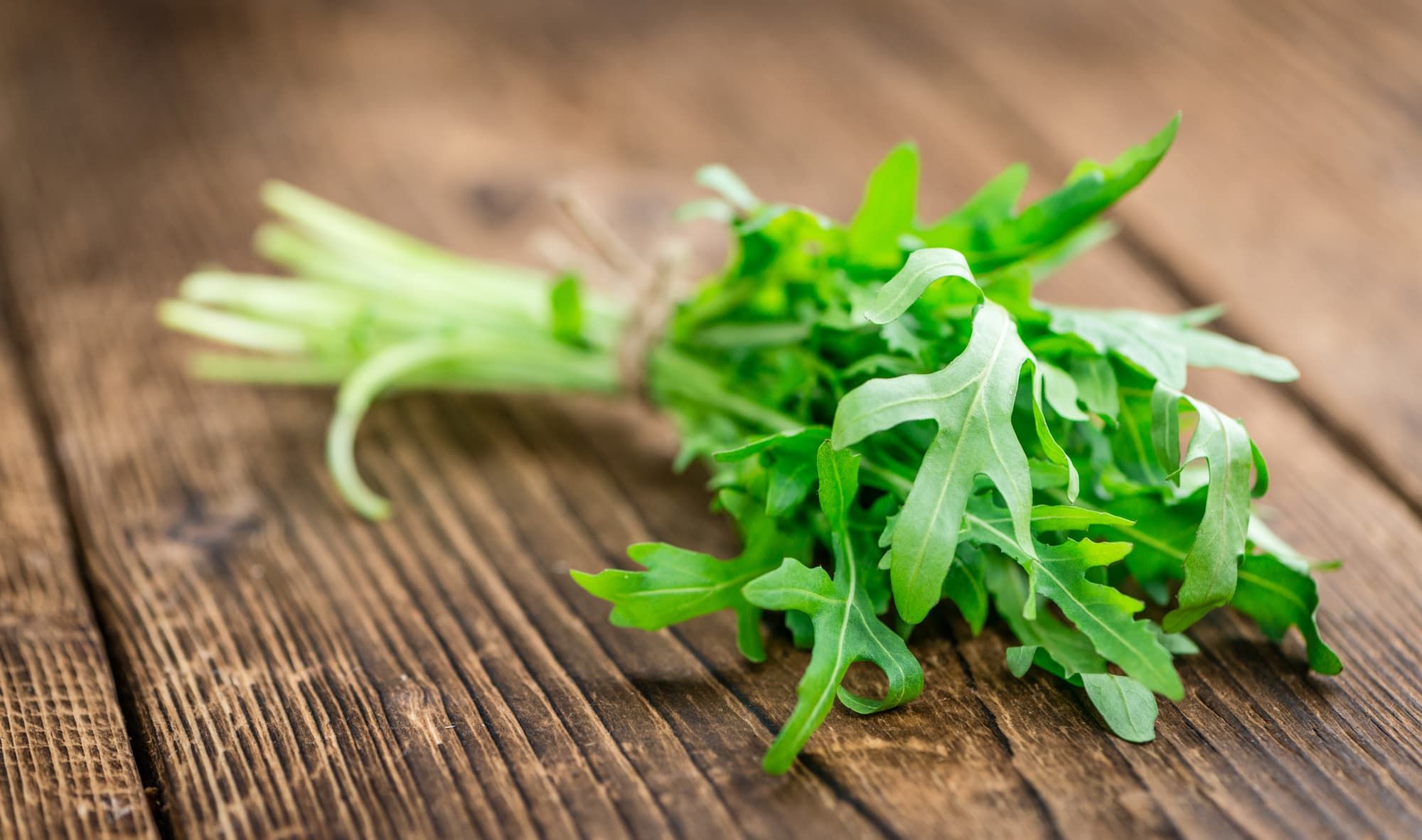 Fresh Arugula (selective focus) as detailed close-up shot on vintage background