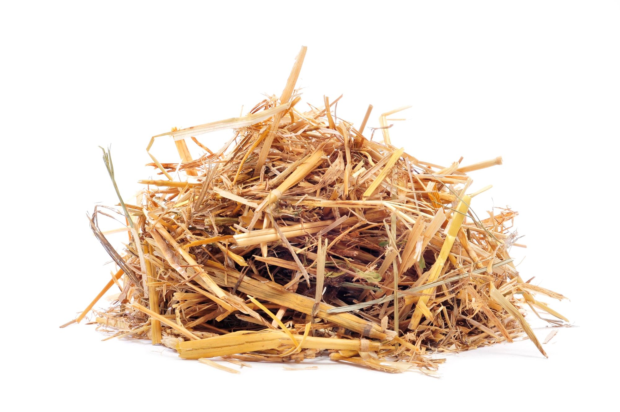 Pile of straw isolated in white background