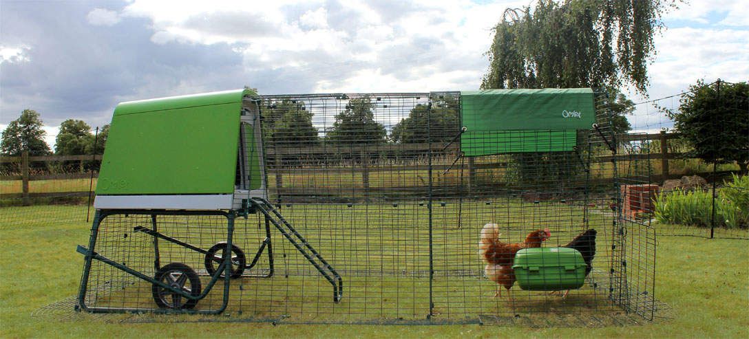 The Eglu Go UP can be extended to give hens extra space
