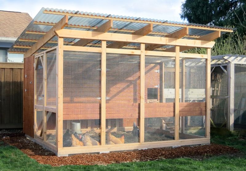 largest chicken coop design (twice the size of The Garden Coop)