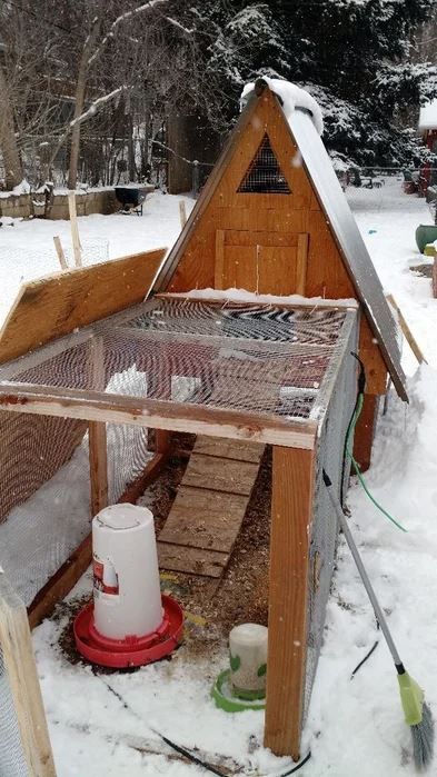 38 Great Chicken Coop Plans