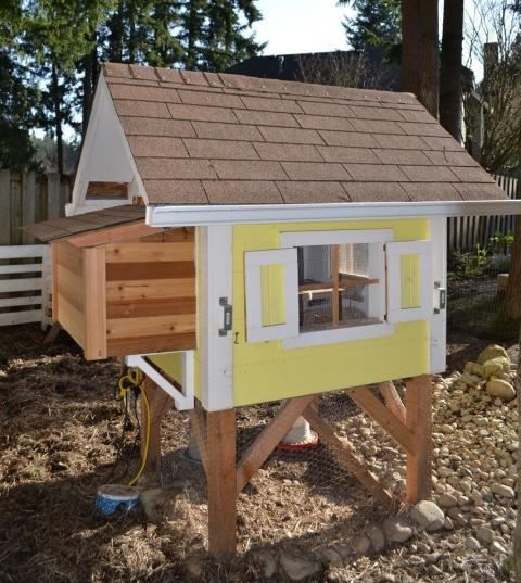 38 Great Chicken Coop Plans