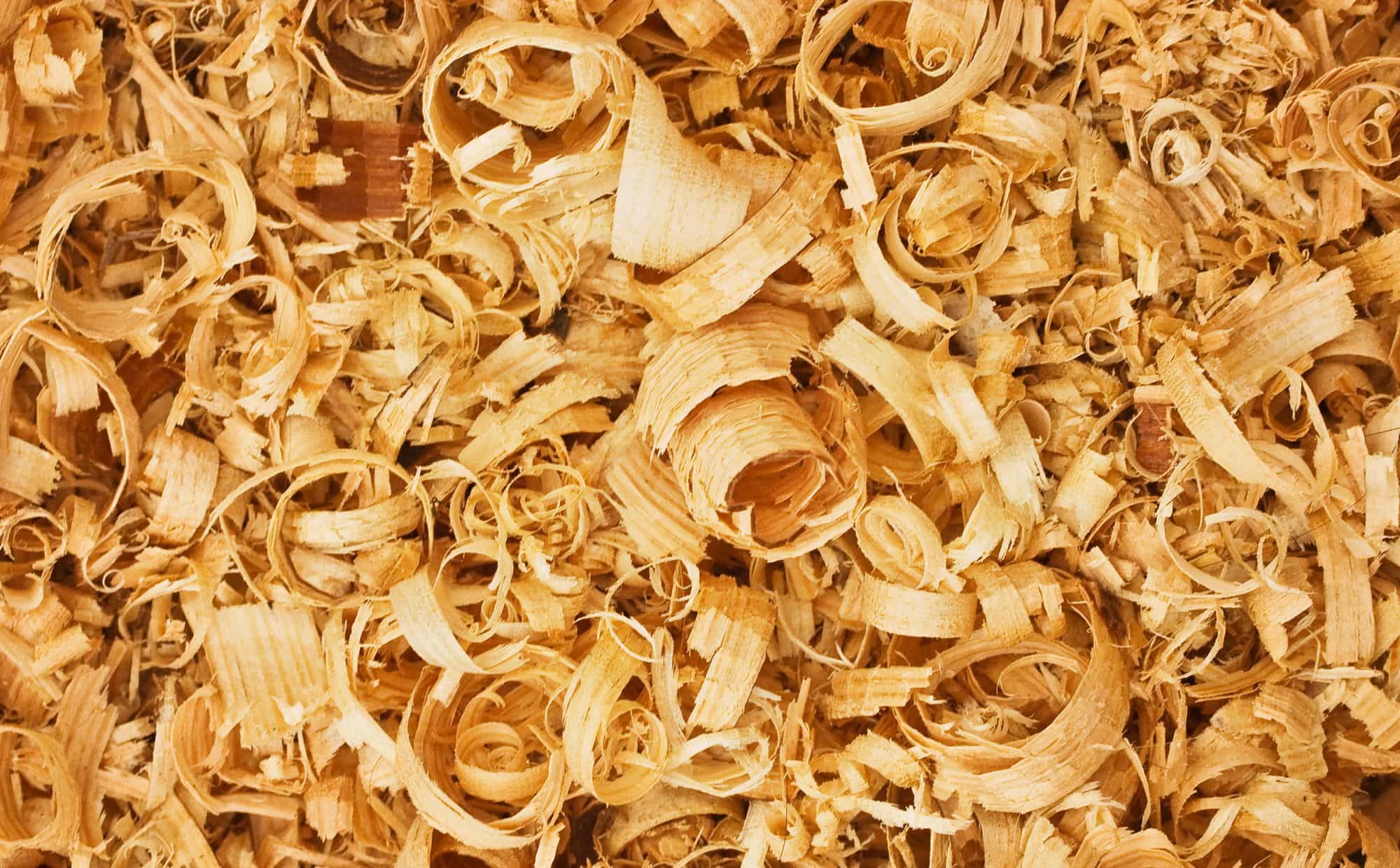 background of the golden curls of wood shavings