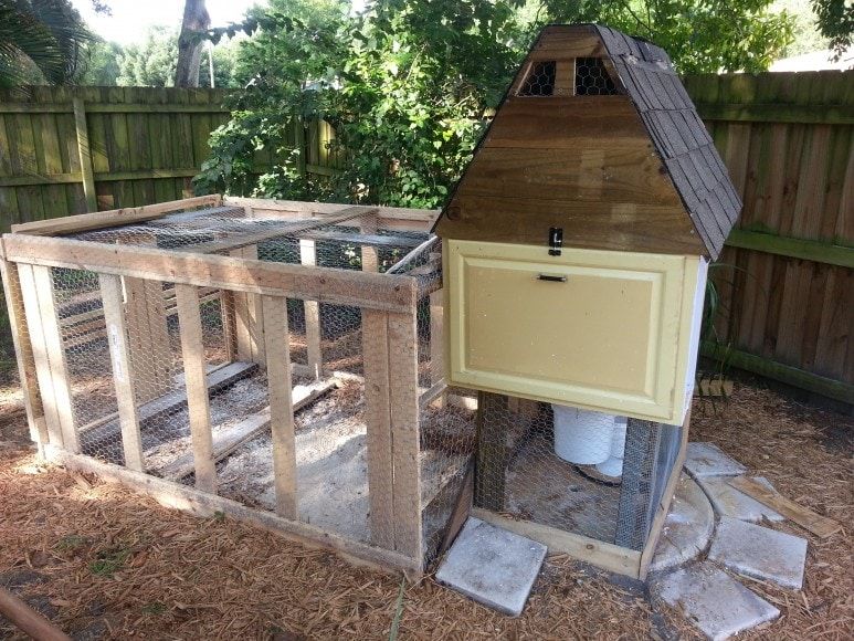 Small Chicken Coop Plans: Customize Your Hen House