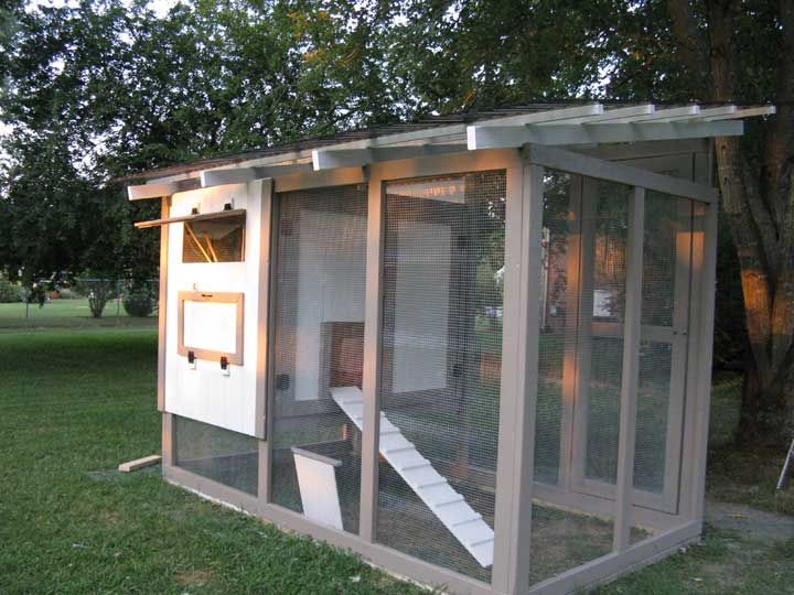 Small Chicken Coop Plans: Customize Your Hen House