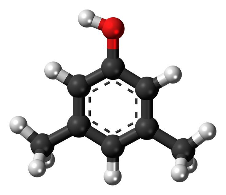 Xylene molecule in white background