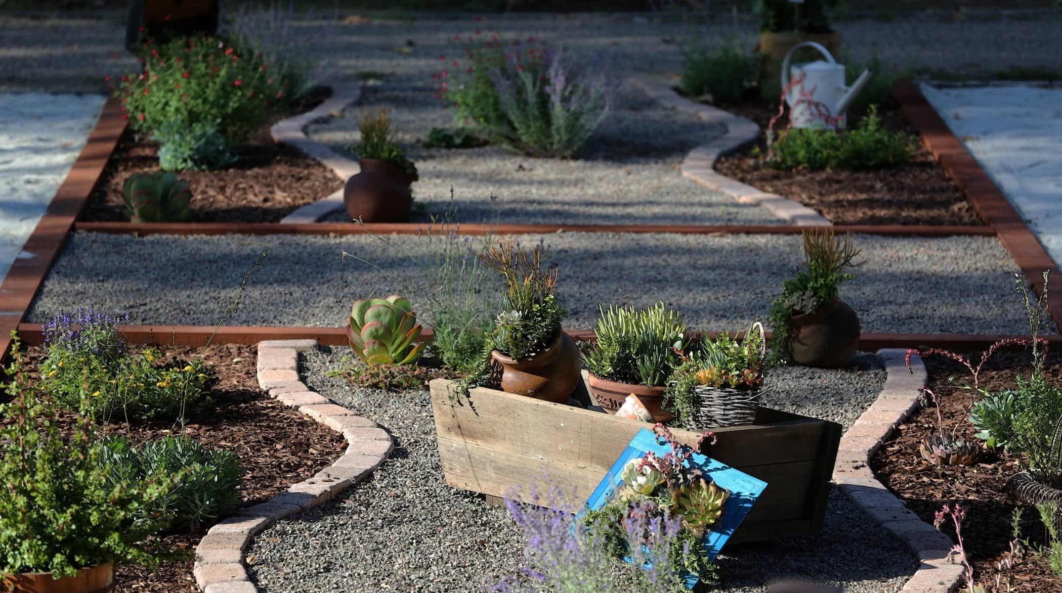 Xeriscaping A Guide For Beginners