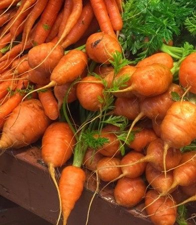 Thumbelina Carrots