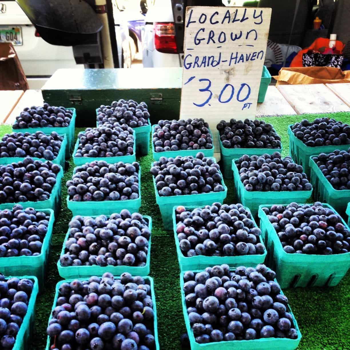 Farm Fresh Blueberries