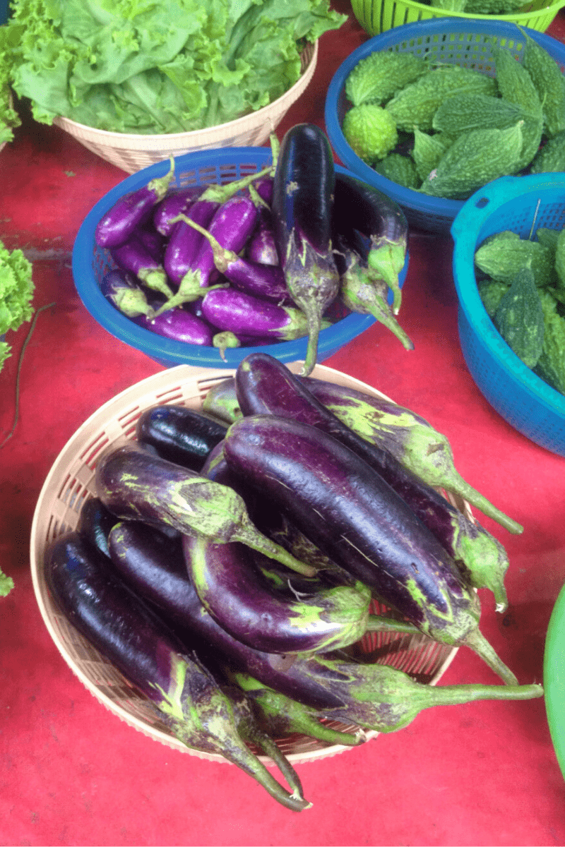homegrown eggplant varieties in bowls