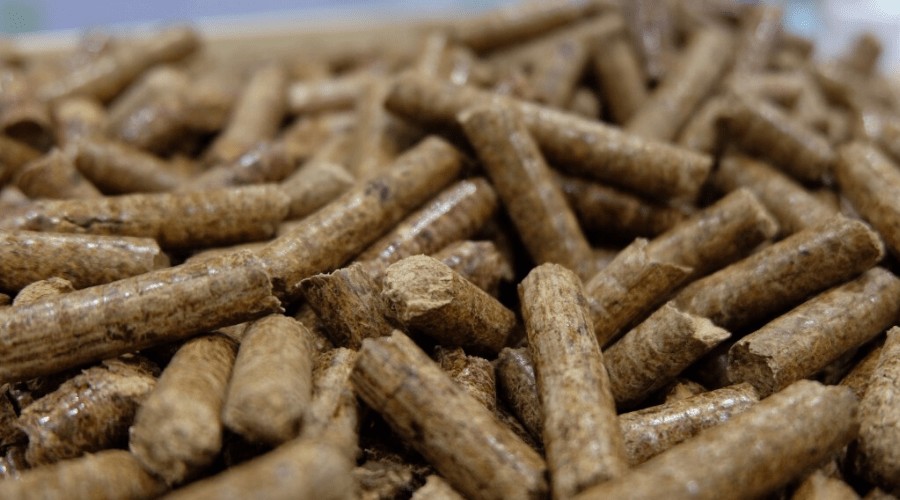 Your Guide to the Best Traeger Pellets for Smoking and Grilling