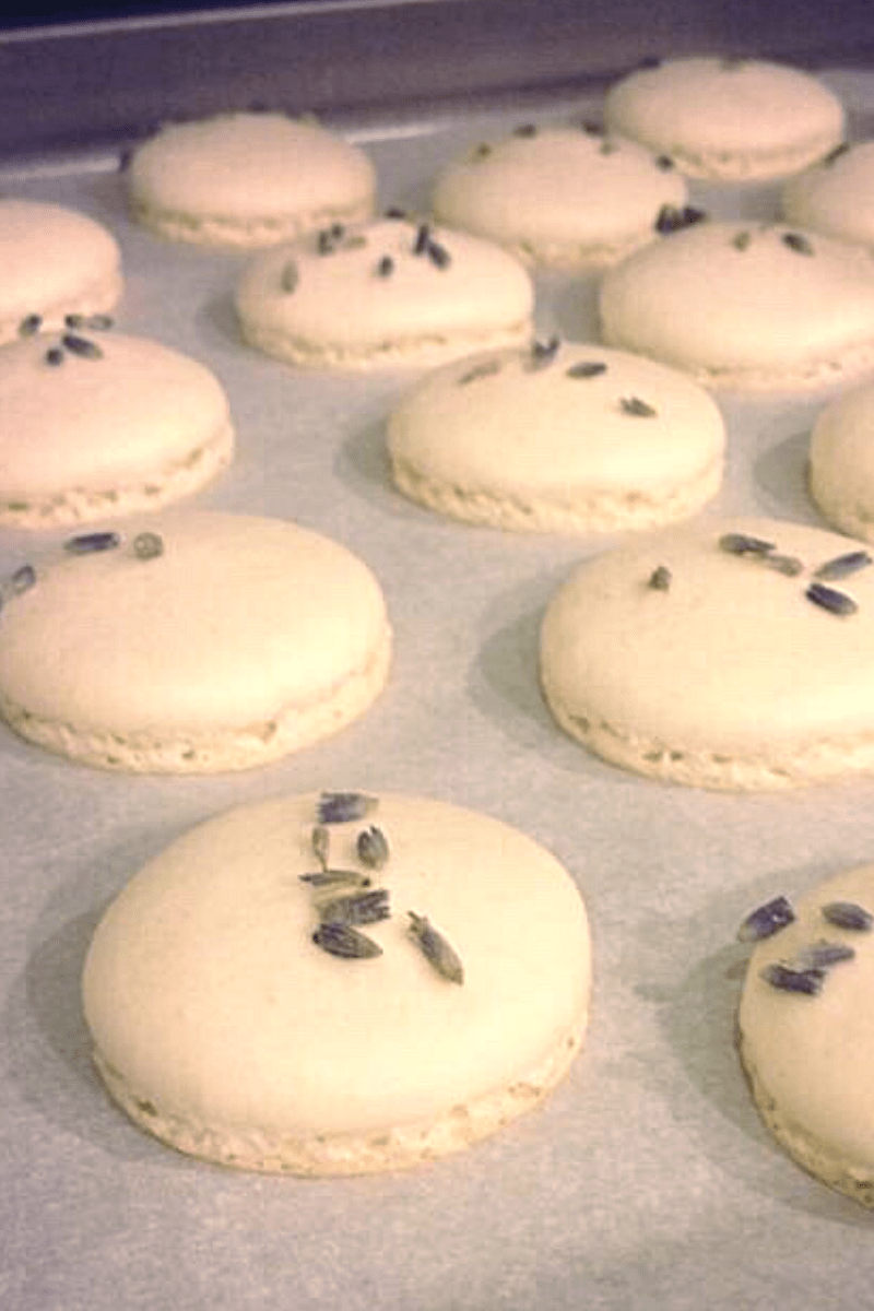 lavender macarons on baking tray white with flowers on top