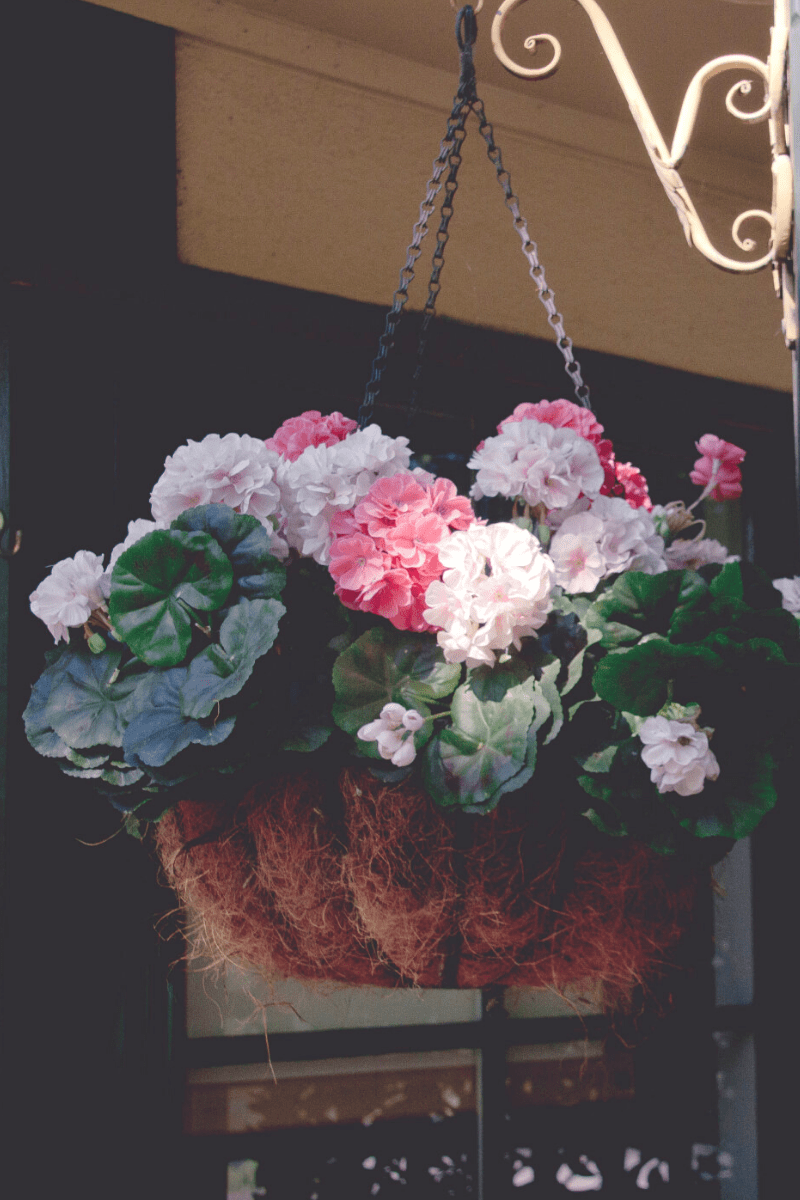outdoor hanging plant stand with flowers