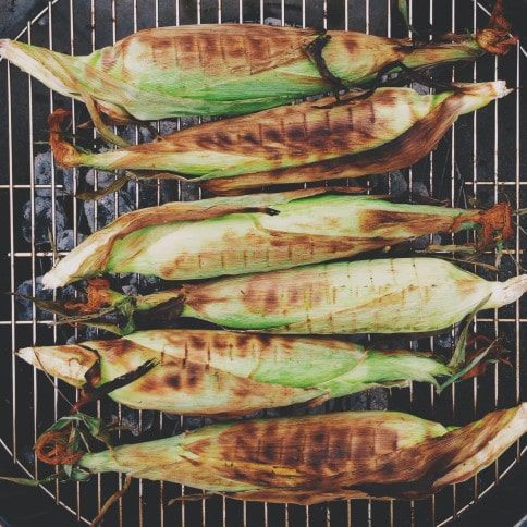 corn in the husk on a weber grill from above