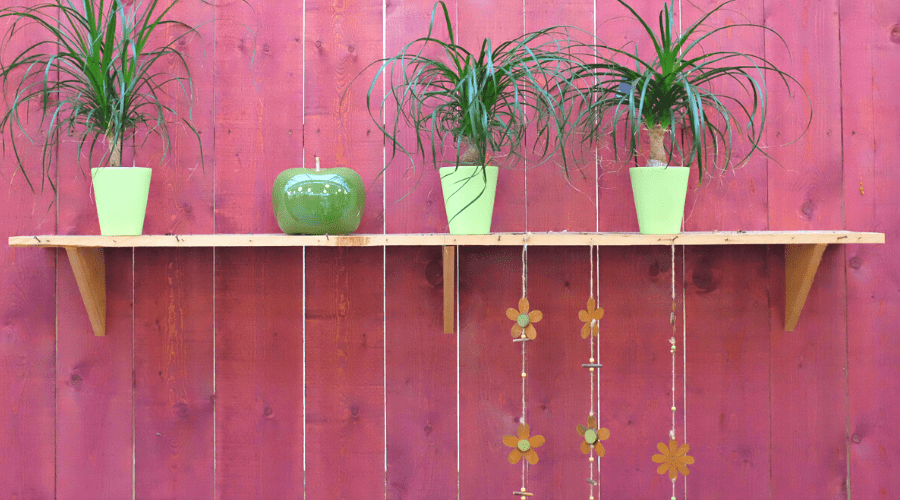 diy plant shelf bracket wide three plants in green pots with apple sculpture on DIY shelf against dark red wooden wall